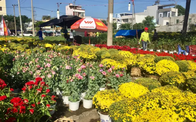 Chợ hoa Xuân Đà Nẵng – Sắc Xuân ngập tràn