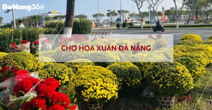 Khám phá chợ hoa xuân rực rỡ tại Đà Nẵng dịp Tết 2025