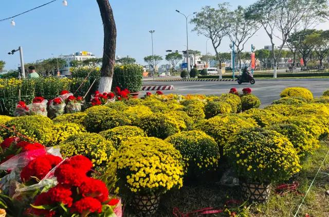 Chợ hoa xuân Đà Nẵng