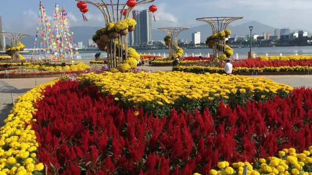 Chợ hoa xuân đà nẵng