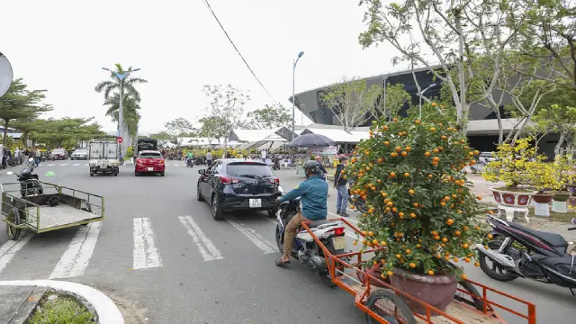 Chợ hoa xuân đà nẵng