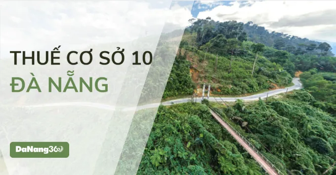 Địa chỉ, Số điện thoại Thuế cơ sở 10 TP. Đà Nẵng 2025