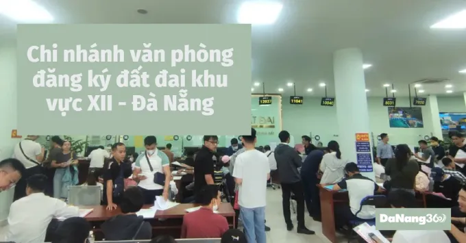 Chi nhánh văn phòng đăng ký đất đai khu vực XII - Đà Nẵng 2025