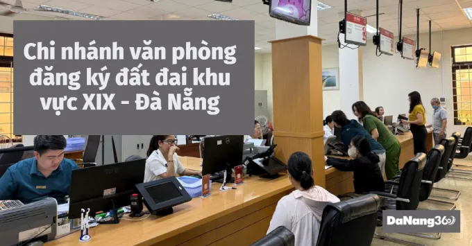 Chi nhánh văn phòng đăng ký đất đai khu vực XIX - Đà Nẵng 2025